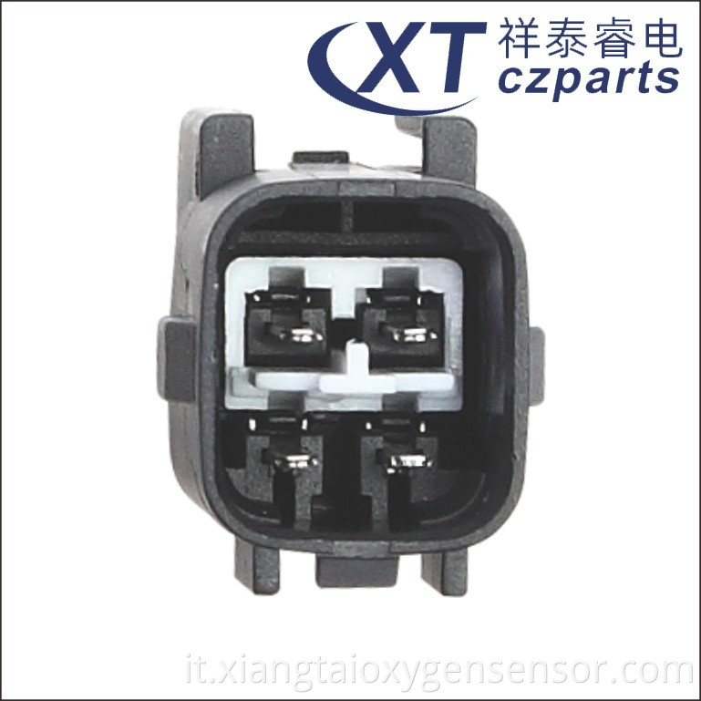 Oxygen Sensor